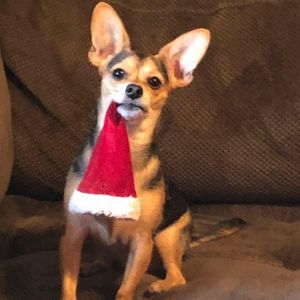 Meet your Posher, Veronica